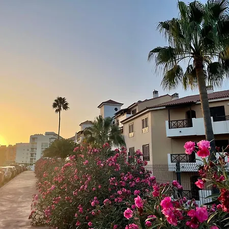 La Fiesta * سان ميغيل ذي أبونا